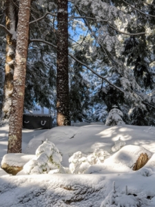 This photo shows the sunlight shining onto the snow covered rocks and trees. In the upper left corner is a gray box protecting one of the many garden urns at Skylands.