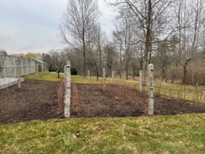 These bushes were also pruned - they look very different without all their leaves. There's lots of work to do around this busy farm, but one by one the tasks are getting done.