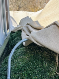 Here, some of the fabric is removed from the steel piping in front of my Winter House porch. The shrubs look so green.