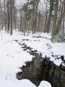 The streams that meander through the farm's woodland show the reflections of the snow covered trees above.