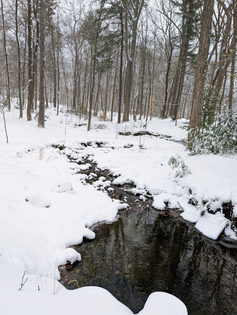 A Late February Snow at My Farm - The Martha Stewart Blog