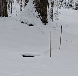 Do you recognize this? It is one of many catch basins around the property. They are all marked with black tipped stakes, so they are easy to find under the snow. They are all checked during the inclement weather to be sure the drainage holes are all clear. This one is in good working order.