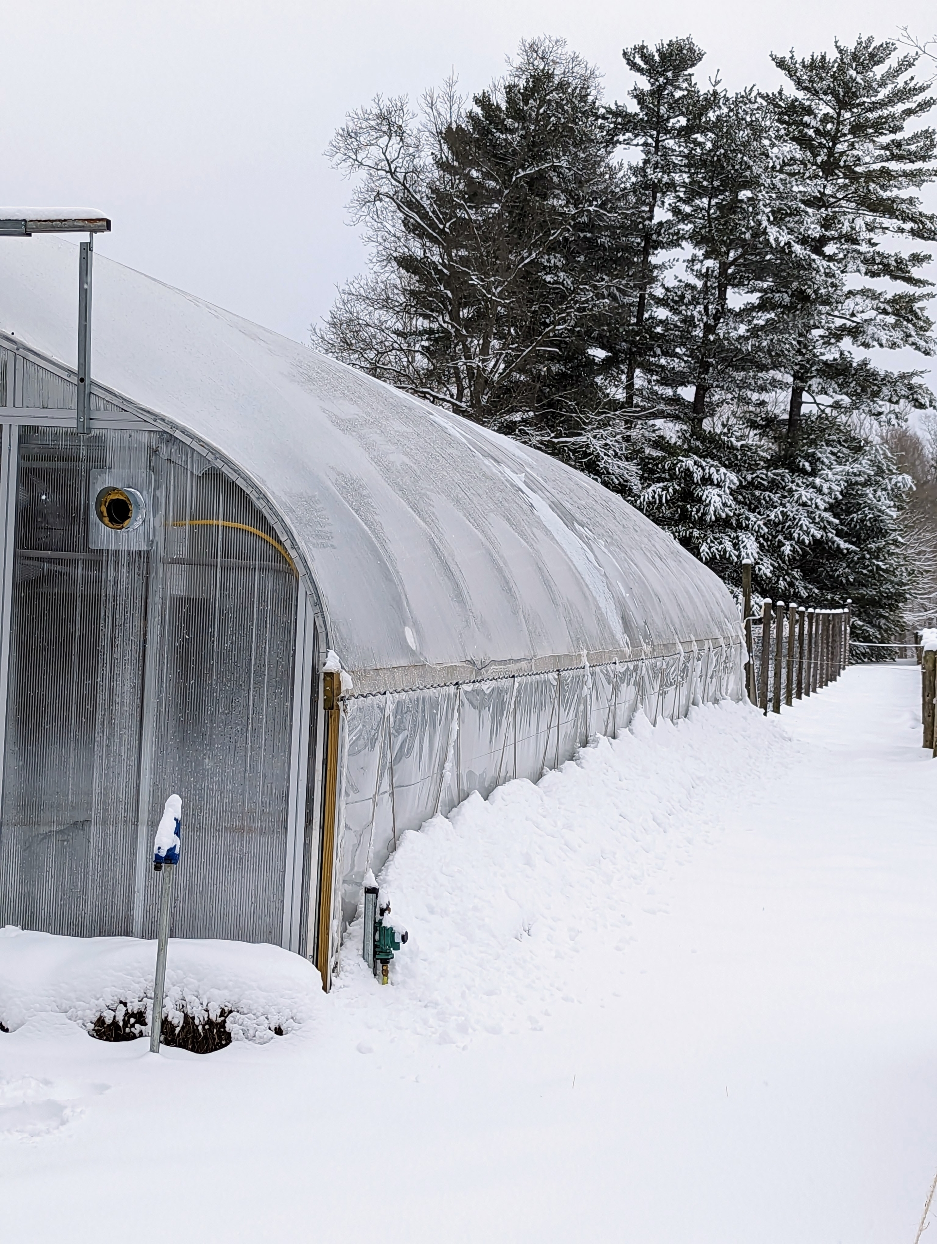 A Late February Snow at My Farm - The Martha Stewart Blog