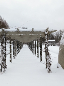 This snow even covered every surface of my long and winding pergola. One can see snow on the granite uprights as well as the wooden cross beams and rafters.