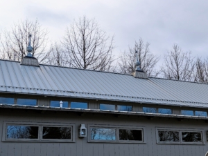 I use a different metal on my large Equipment Barn. This is a standing seam aluminum roof. Standing seam metal roofing features vertical legs with a flat space in between. It is very durable and weather-tight. I also placed these antique finials on top. They are made of Swedish or French lead-coated copper.