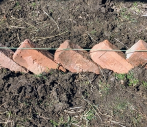 Here is a view from the side. Each brick is carefully placed and pounded securely into the trench. The string also helps to make sure the points are at the same level.