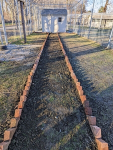Here is the path once all the bricks are in place. Path edging helps to keep the structure of the path defined and the gravel contained. It looks markedly different already.
