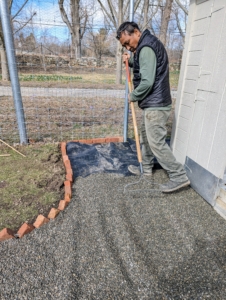 Closer to the coop, Pete turned the bricks slightly to round the corners. Here he is spreading more gravel in front of the coop door.