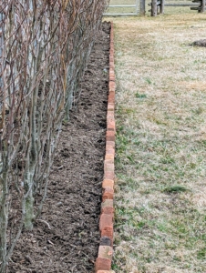 These bricks look great marking the edge of the bed. They will also look very pretty this spring when the grass grows.