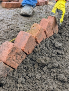 This sawtooth brick pattern is ideal for edging garden borders or pathways. It is easy and quick to do. I have a large supply of these bricks, but if doing at home, one should have about 10-percent extra materials in case of breakage - clay bricks can break.