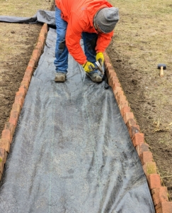 Once the bricks are in place, the weed cloth is cut to size within the path and carefully put down between the bricks.