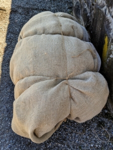 All the rolls of burlap must be kept dry when not in use. One of the few downsides to this fabric is that it will start to fray and disintegrate after time, especially if exposed to moisture. Here is one roll of fabric. It may not look it, but this roll is quite heavy.