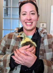 Helen Peparo is my stable manager, but she also oversees the care of my chickens, peafowl, and geese. She is extremely knowledgeable and passionate about animals.