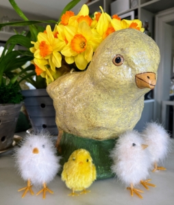 We picked some beautiful daffodils to place in the glass vase inside this paper maché chick.