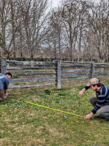 I decided the hedge would be close to the fence. Here are Brian and Ryan measuring enough space for the hornbeams as well as for the Polaris vehicles we use to tour the tight spaces around the farm.