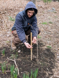 Brian cuts a piece of jute twine and ties the stake loosely to the tree.