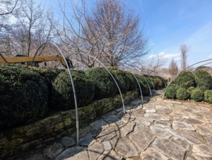 This year, outside my Winter House Green Parlor, we used these round hoop house frames to hold up the burlap. It was a perfect solution for accommodating the growing shrubs. We will use the same metal piping next year.