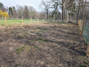 Previously, we used this area for our pumpkin patch. It did not work as well as we wanted for our pumpkins, but it is a perfect spot for all our potted trees. Brian raked the area flat and removed any old root systems and debris.