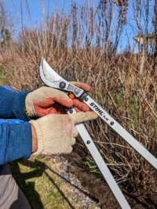 For thicker branches up to two-inches, Pasang uses the STIHL PL 40 lopper, made with aircraft aluminum handles measuring 32-inches long and perfect for getting better leverage or reaching taller branches. I always instruct the crew to use the right tool for the job.