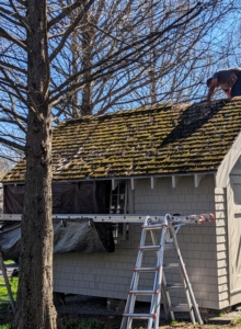 The first step was to remove the old roofing shingles from both sides of the roof.