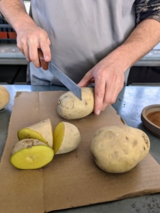 When preparing the seed potatoes for planting, some of the bigger varieties – bigger than the average-sized chicken egg – are cut into pieces. Each piece should have at least two eyes - those growing points on potato tubers.