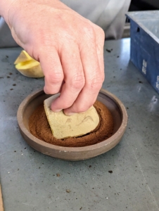 Each cut side of potato is then coated with Douglas fir bark dust.