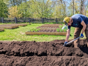 Brian digs each furrow and carefully piles the soil in berms, which will later be backfilled over the plants.