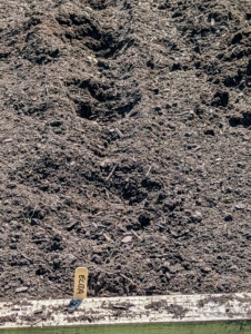 A marker is placed at the end of each trench to identify the variety planted.