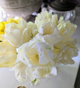 Here’s an all white arrangement – gorgeous pure white tulips, one cannot even see the vessel in which they are displayed.