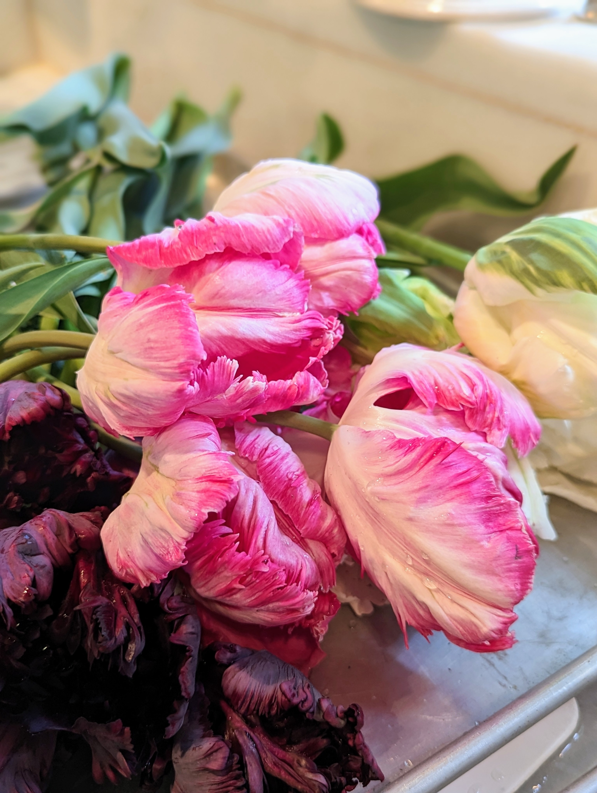 Cutting and Arranging Spring Tulips from the Garden - The Martha