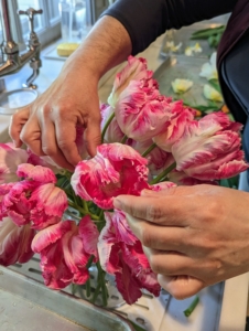 Here, Enma places all the 'Silver Parrots' in a vase. When cutting, select those that are just about to open fully, when they have about 75-percent of their full color.