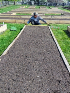 This day was perfect for planting our onions, shallots, and leeks. Here, my head gardener, Ryan McCallister, measures the bed for proper placement of the plants.