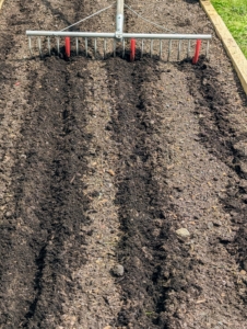 Meanwhile, Ryan creates the furrows for the shallots.