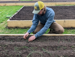 Once the plant is in the ground, Brian firms up the soil around it. Be sure the onion roots are well covered with soil, and that the top of the plant’s neck isn’t covered too deeply. If too much of the plant is buried, the growth of the onion will be reduced and constricted.