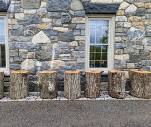 Leading up to this party, I decided to use tree stumps as tables around the courtyard. These are natural and very heavy - they definitely wouldn't fall over. We cut them from a neighbor's tree that fell down.