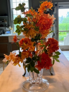 This arrangement on my kitchen counter is made of azaleas in various shades of orange and yellow.