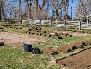 Here is what the garden looked like when all the sod was removed showing the exact size of the raised bed frames still to be made. The areas matched our map perfectly.