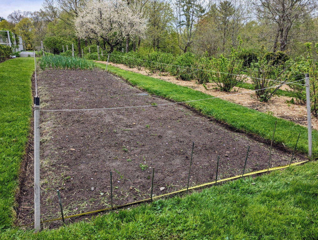 Planting a Strawberry Patch - The Martha Stewart Blog