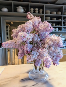 These lilacs are on my kitchen counter, the hub of my home, where I often have meetings - everyone smells them as soon as they see them.