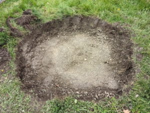 The hole sides should also be slanted. Digging a wide planting hole helps to provide the best opportunity for roots to expand into its new growing environment. After the hole is dug, a good fertilizer made especially for transplanting trees is added to the existing soil.