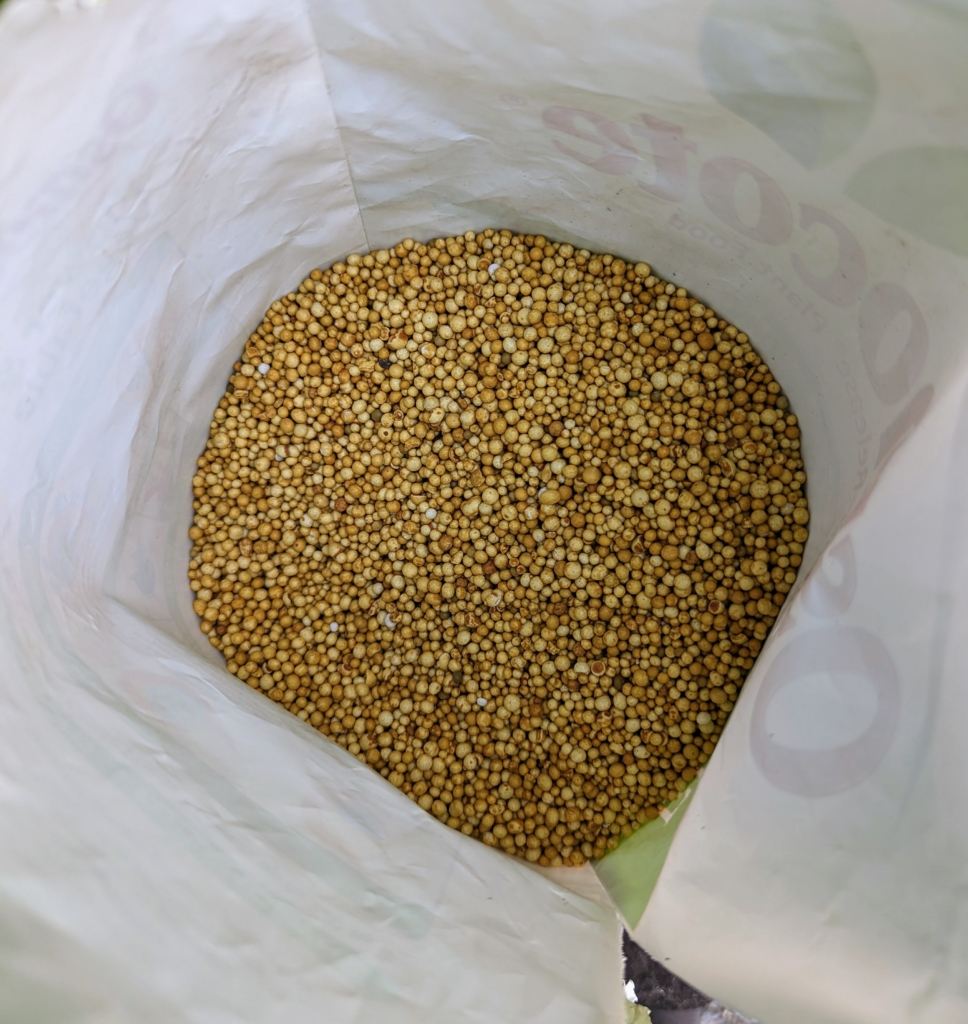 Planting Hens and Chicks Outside My Winter House The Martha Stewart Blog