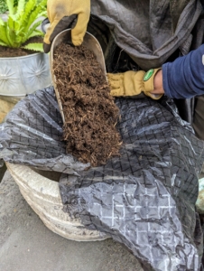 In this pot, Ryan drops a scoop of compost first to weigh down the weed cloth.