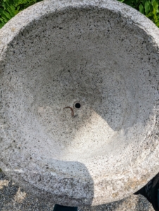 Each of these ornamental urns has a drainage hole. It is important to make sure any planter has at least one. Plants will only draw up as much water as they require. Drainage holes serve allow excess water to 'drain' out, thus helping to prevent the soil from becoming soggy and causing root rot.