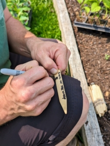 Meanwhile, Ryan also makes the appropriate markers for the plants. It is always good to take the time to make markers, so one knows which varieties do best and should be planted again next year.
