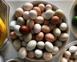 I always bring lots of fresh eggs from my farm. My hens lay the most delicious eggs and I am fortunate to be able to enjoy them all year long with family and friends.