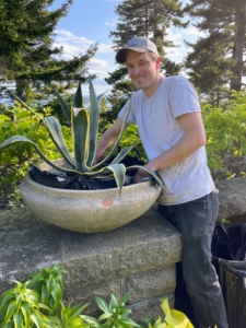 Here, Peter pots up an agave. Agaves are exotic, deer-resistant, drought-tolerant plants. Agaves make wonderful container plants. Everyone takes turns doing everything – from preparing the plants to moistening the potting mix, to filling the pots, to planting.
