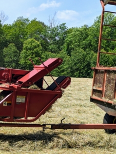 A baled “square” is seen traveling up the conveyor belt. A measuring device—normally a spiked wheel that is turned by the emerging bales—measures the amount of material that is being compressed and then knotters wrap the twine around the bale and tie it off.