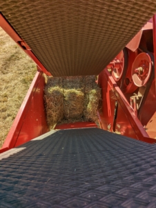 The hay is lifted by tines in the baler’s reel and then propelled into the wagon by a mechanical arm called a thrower or a kicker. The bales are manageable for one person to handle, about 45 to 60 pounds each.