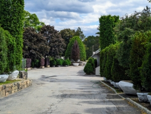 If you've ever looking for a selection of quality trees or shrubs, and live in or around Pound Ridge, New York, or Lancaster, Massachusetts, be sure to visit Select Horticulture Inc. There's something for everyone.