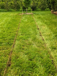 Here, one can see where the line of sod is cut.